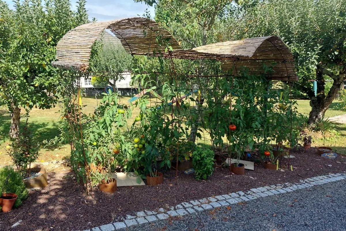 Chez Lili Villa Calvinet